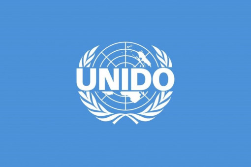 Важность доступа к стандартам стран-партнёров отметили на сессии ЮНИДО