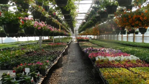 Представлен новый датчик для измерения влажности и температуры в агропромышленном комплексе