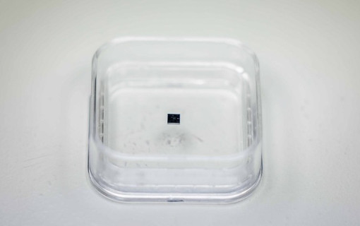 Ученые Томского политеха создали чип для проверки разрешения рентгеновских микротомографов