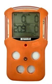 69666-17