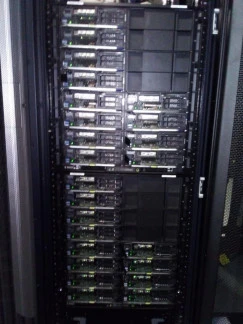 81366-21