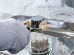 Во ВНИИМ им. Д.И. Менделеева аттестовали вторичные эталоны массы