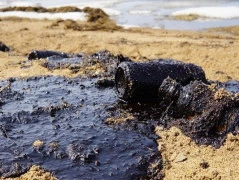 В УНИИМ подвели итоги раундов МСИ по определению нефтепродуктов в почве