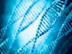 Первый в мире стандарт на методы измерений генетически модифицированных организмов