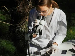 Стандарты для природы: как в России упорядочат данные экологического мониторинга